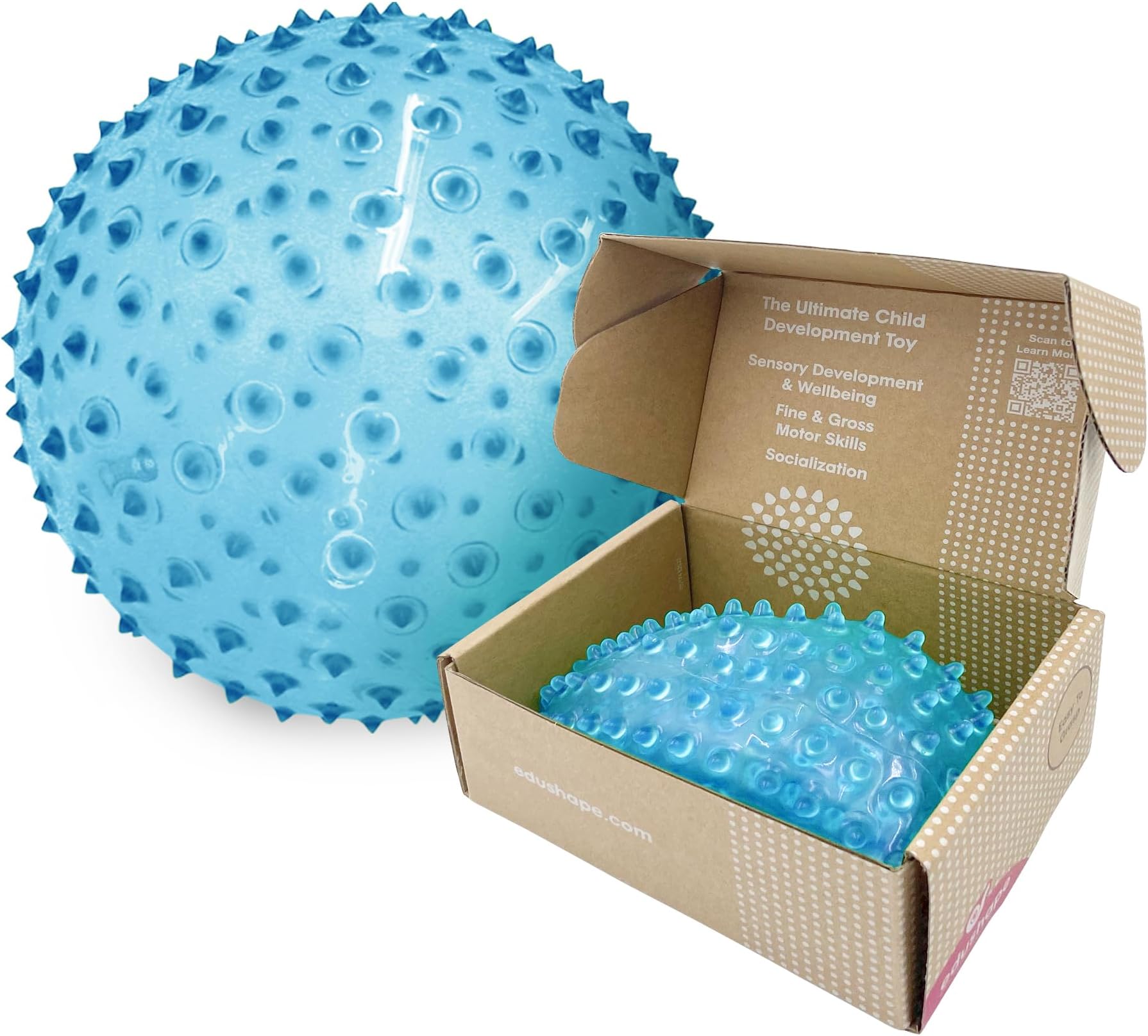 Edushape Sensory Ball for Baby - 7” Transparent Primary Color Baby Ball that Helps Enhance Gross Motor Skills for Kids Aged 6 Months & Up - Pack of 1 Vibrant Colorful and Unique Textured Ball for Baby