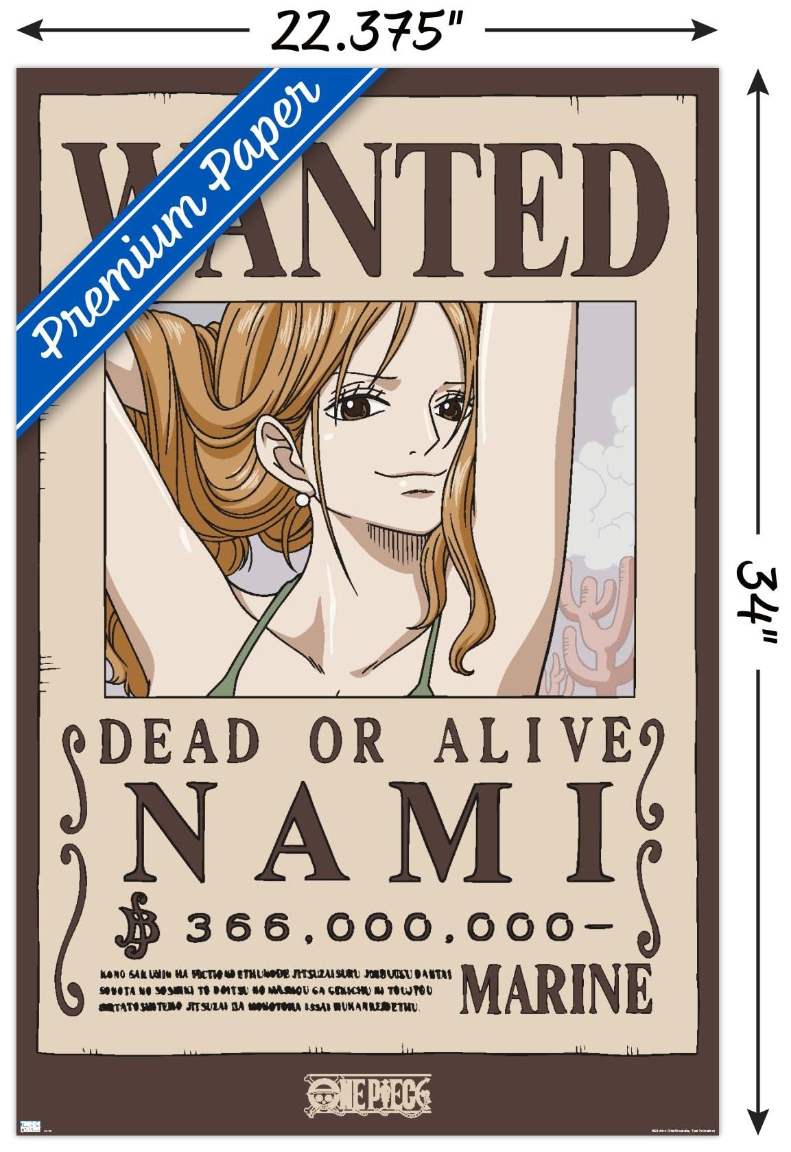Amazon.com: One Piece - Nami Wanted Poster Wall Poster, 34L