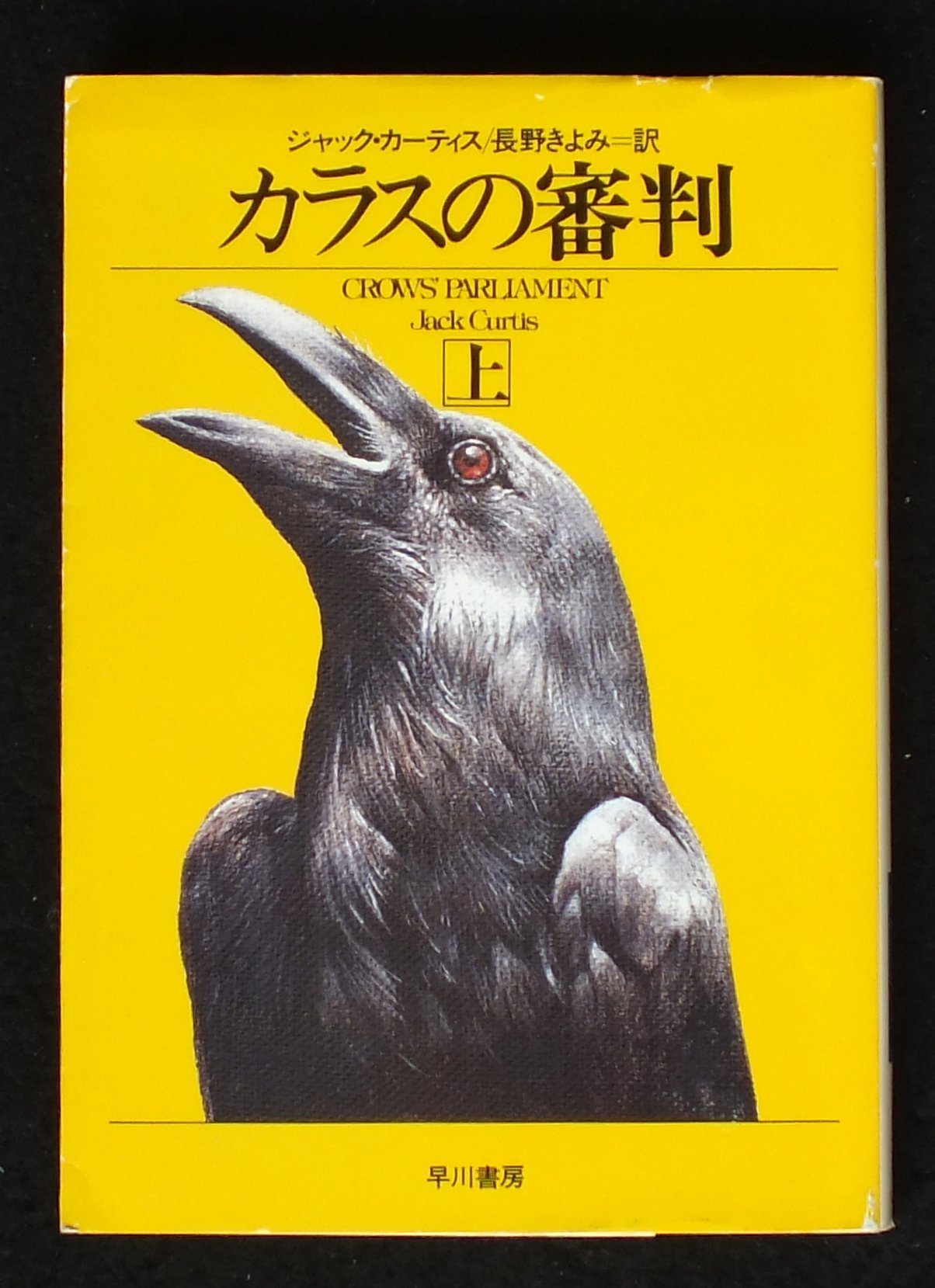 Amazon.co.jp: ジャック・カ−ティス: 本、バイオグラフィー、最新