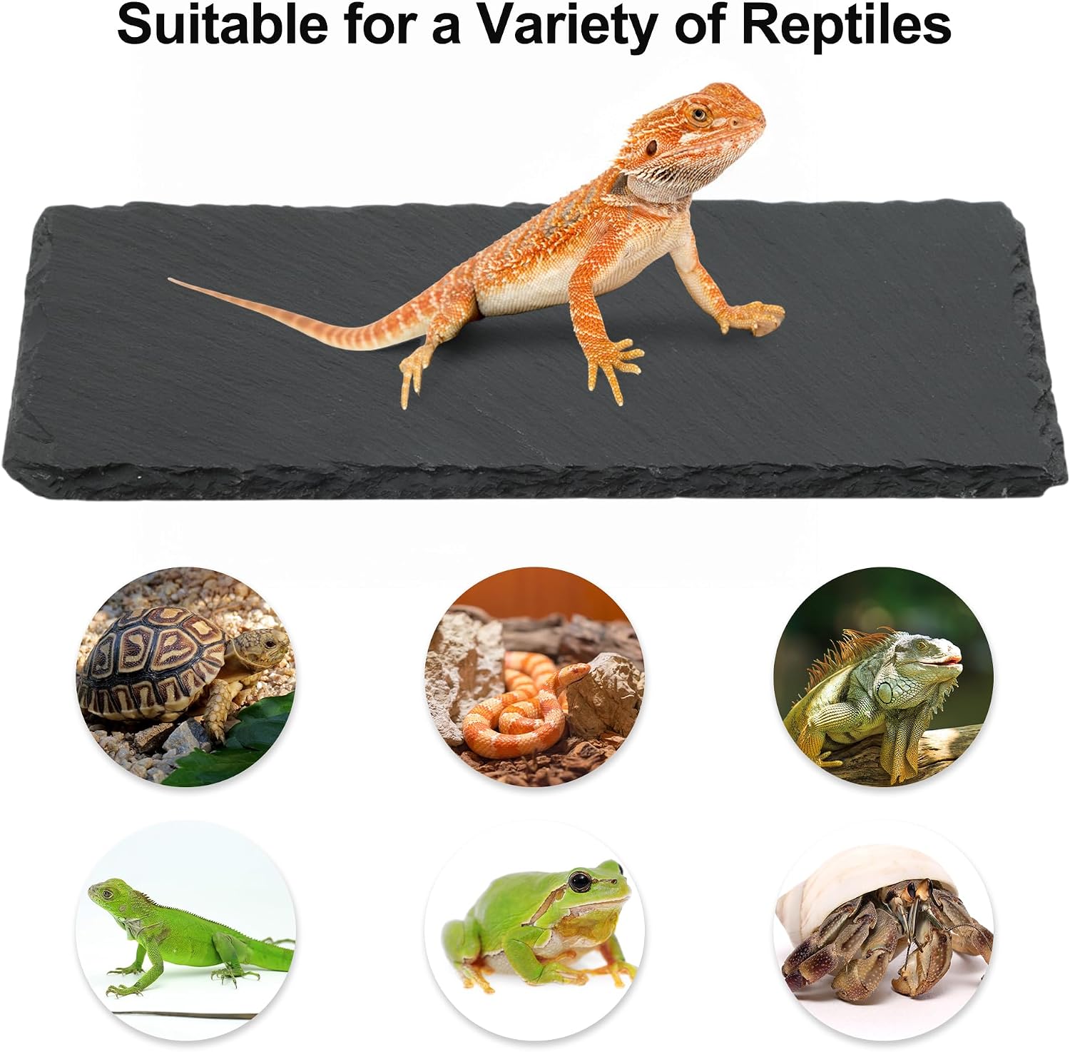 Reptiles Slate Rocks, Basking Surface Reptile Basking Platform, Enhances Climbing Activity, 11.81"x5.91", Black Gray