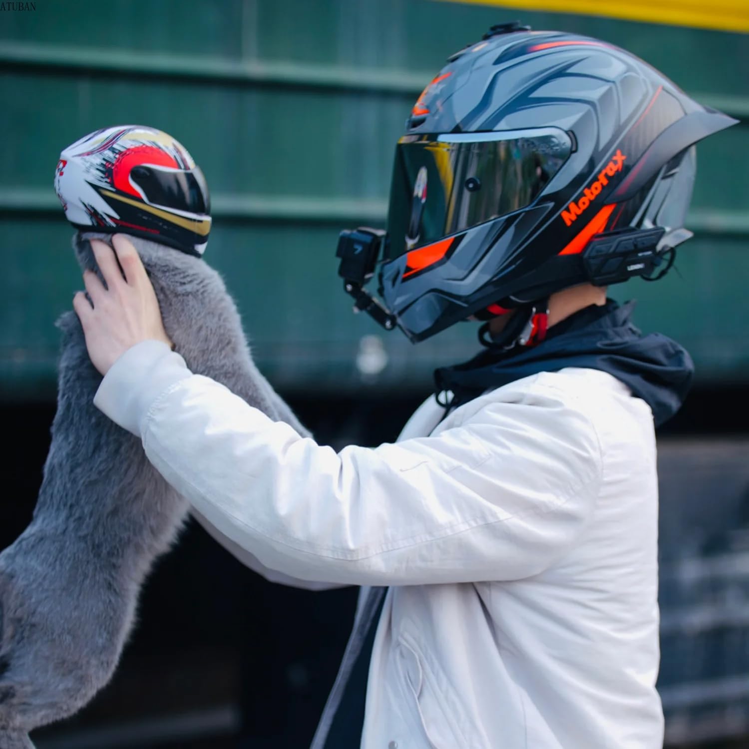 Casque pour Chien Protection Casques for Animaux de Compagnie à Faire soi-même, Casque for Chat, for Chien, Mini-Casque Protection for l'extérieur, Accessoires Photo for, Moto(B)