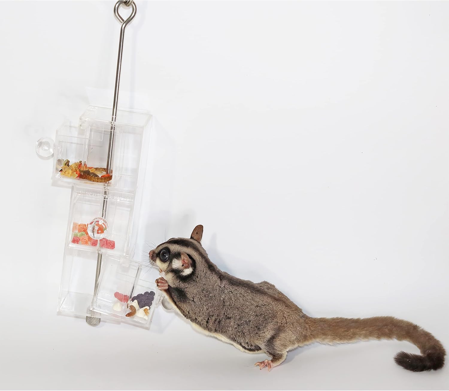 Doors & Drawers - Durable Interactive Treat Forage Box Cage Accessory Toy - for Sugar Gliders, Rats, Chinchillas, Ferrets, Parrots, Hamsters, Squirrels, Hedgehogs, Guinea Pigs & Other Small Pets