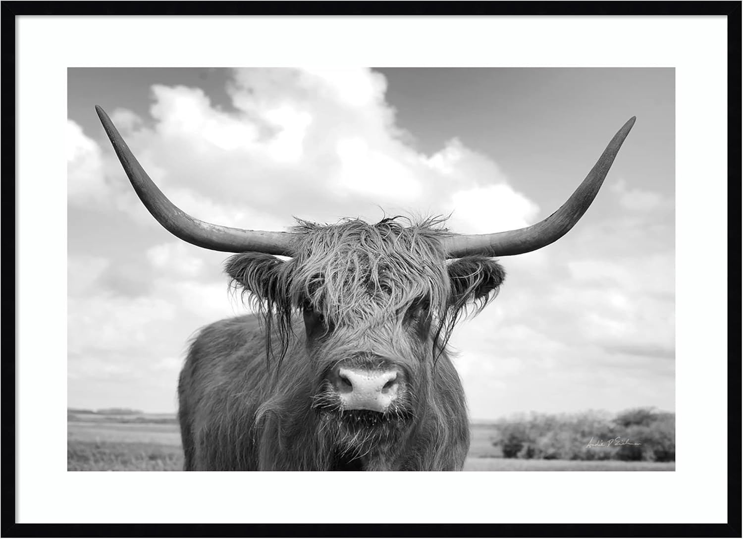 Amanti Art Framed Wall Art Print 19x25 Highland Cow On the Ranch by Andre Eichman, Animals Wall Art, Rustic Farmhouse Decor, Medium Poster Painting Artwork for Living Room, Bedroom, Bathroom, Kitchen