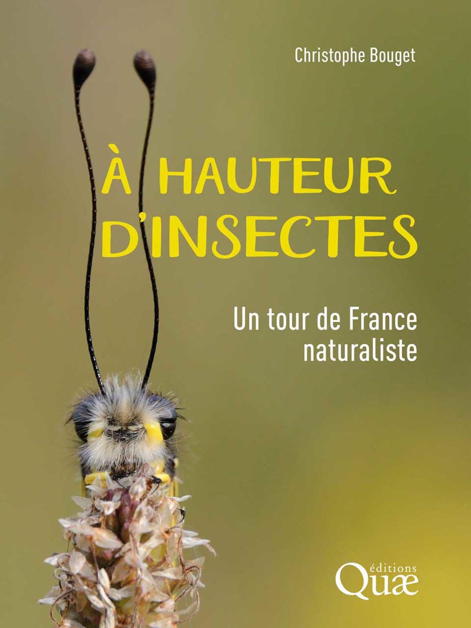 À hauteur d'insectes: Un tour de France naturaliste