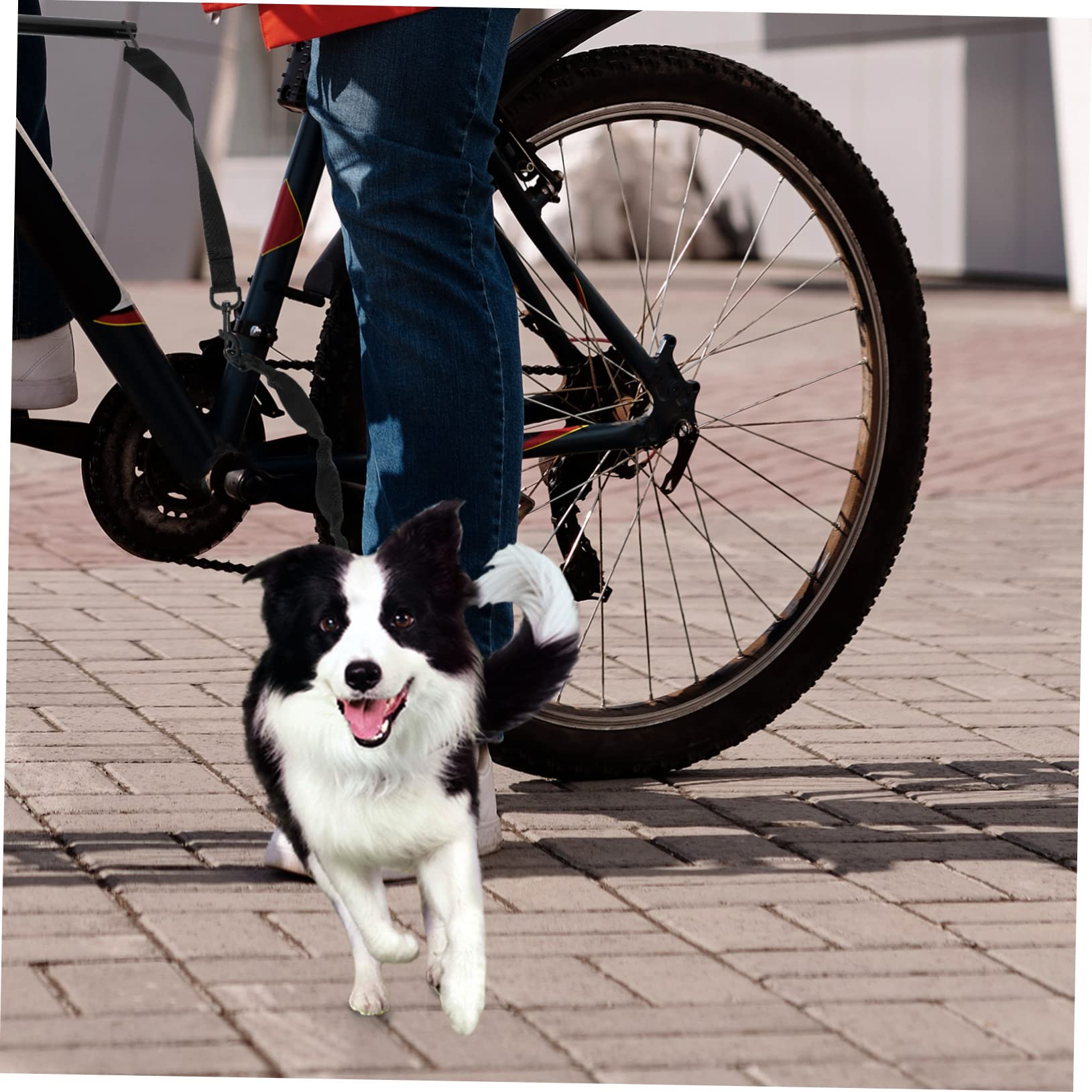 Garneck Guinzaglio Per Cani in Corda Guinzaglio Da Traino Per Animali Domestici Corda Da Trazione Portatile Per Cuccioli e Bici