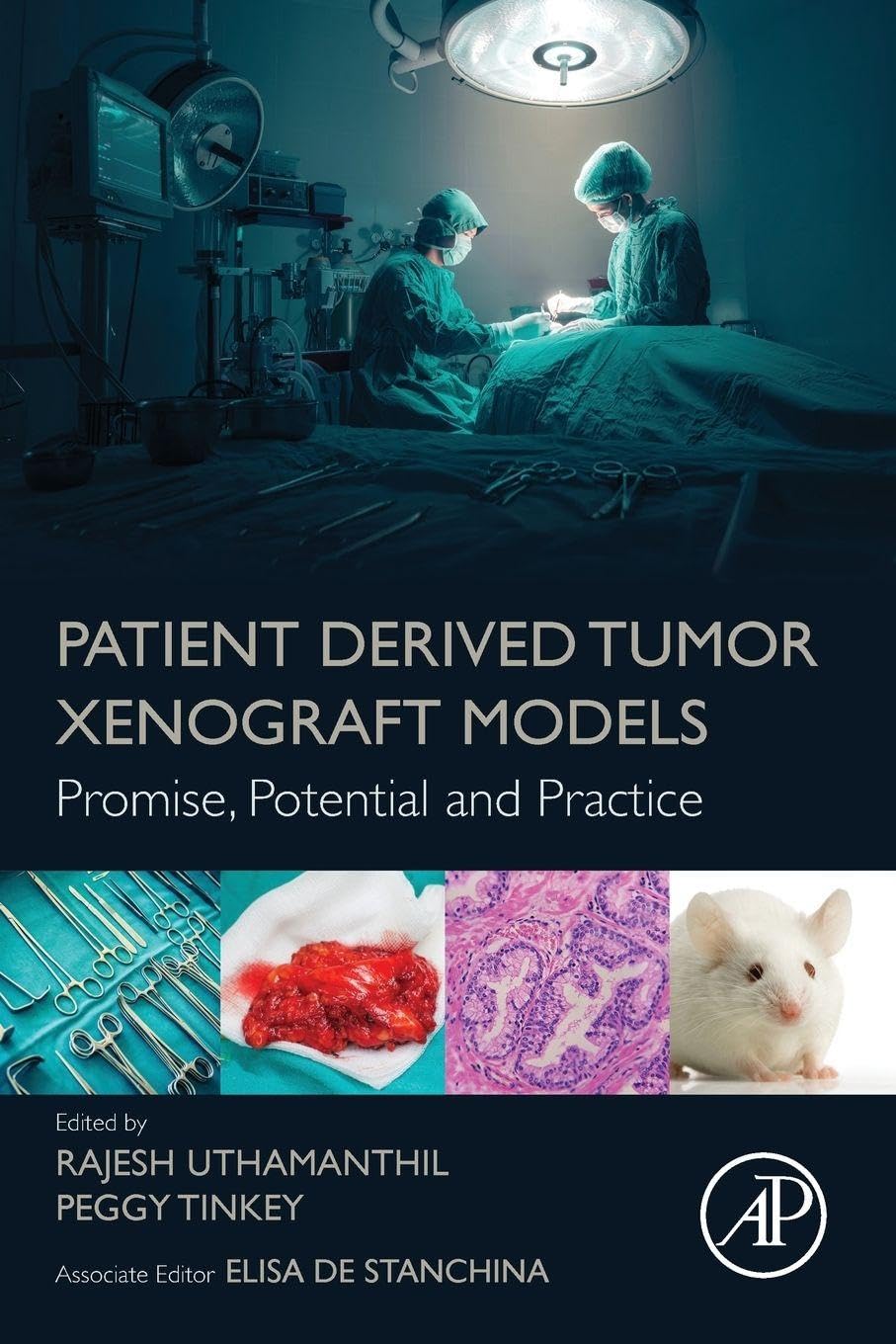 Buy Patient Derived Tumor Xenograft Models: Promise, Potential and Practice — BookShops.in