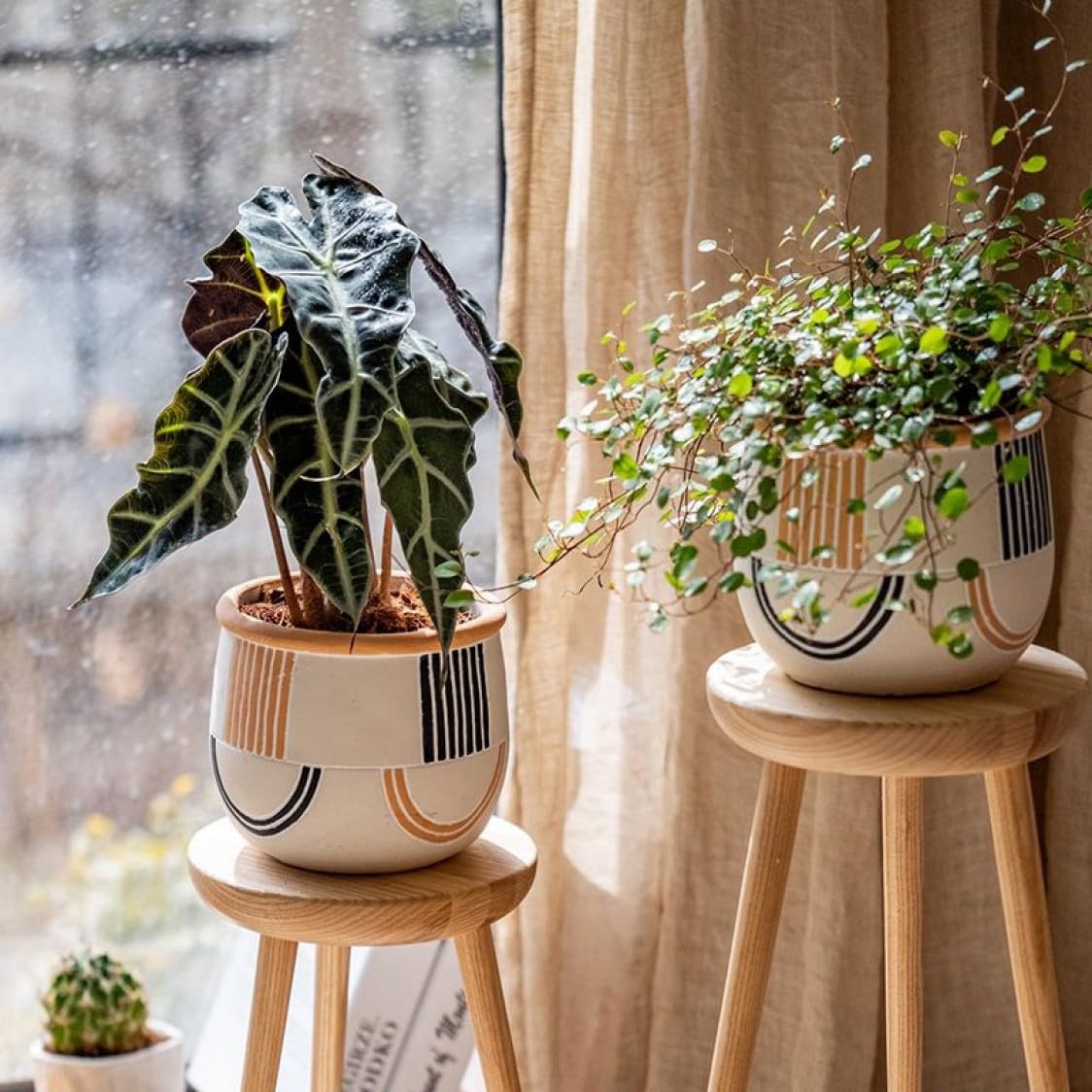 Amazon.co.jp: [ADSNS] 植木鉢 セメント製 プランター 北欧 水