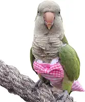 Fraldas de viagem para pássaros com fecho de pressão, roupas de papagaio para voo, roupas para calopsitas, roupas de papagaio, roupas para treinamento de pássaros, roupas para fraldas (rosa, calopsita)