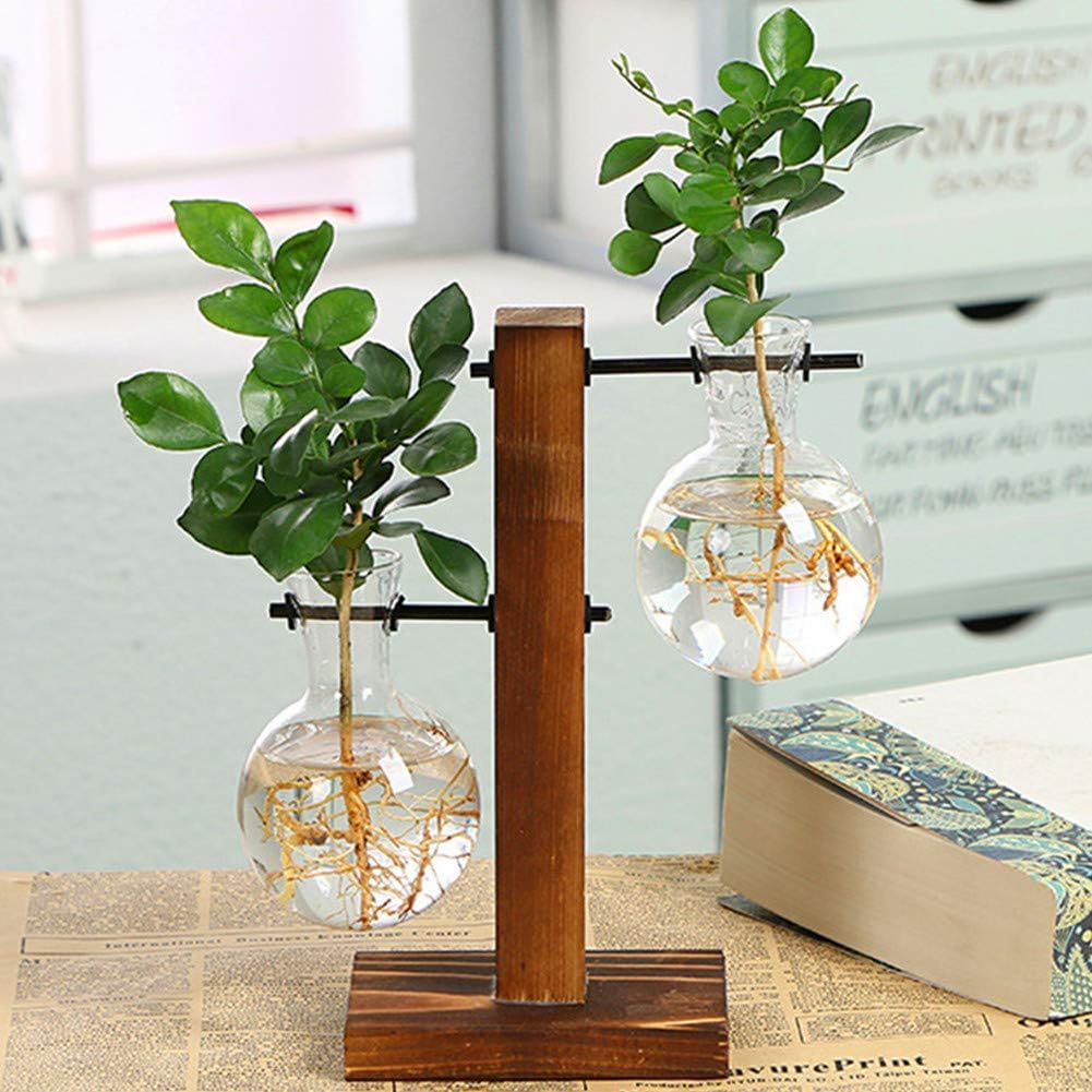 YouhomeGlass Planter Bulb Vase, Desktop Plant Terrarium Kit with Retro Solid Wooden Stand for Hydroponics Plants Home Garden Office Wedding Decor (Style B)