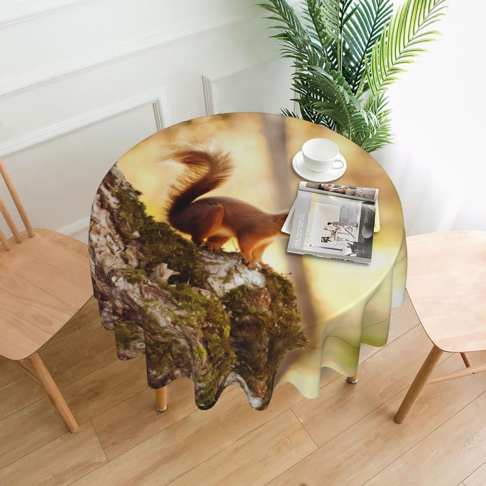 hhxvcv Funny Squirrel Round Tablecloth – Dining Table Cover