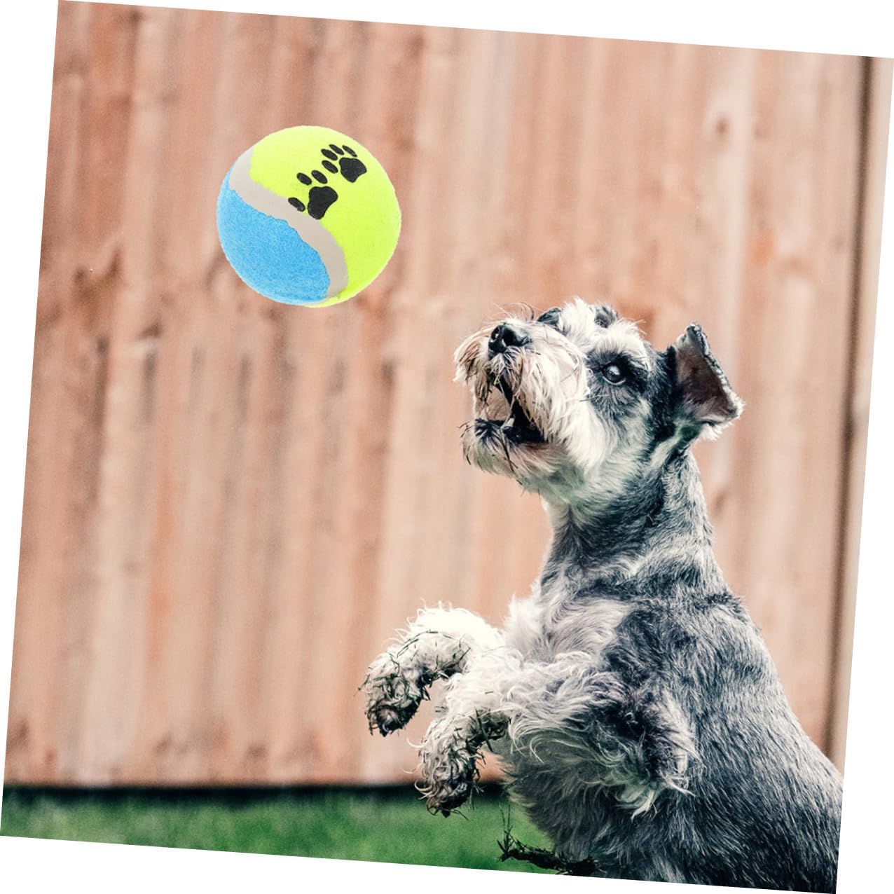 IMIKEYA 16pcs Dog Tennis Balls Pet Throwing Sturdy Rubber Balls 7cm Diameter Interactive Activity for Medium Dogs and Puppies Training Random Color