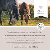 Ver la foto 5