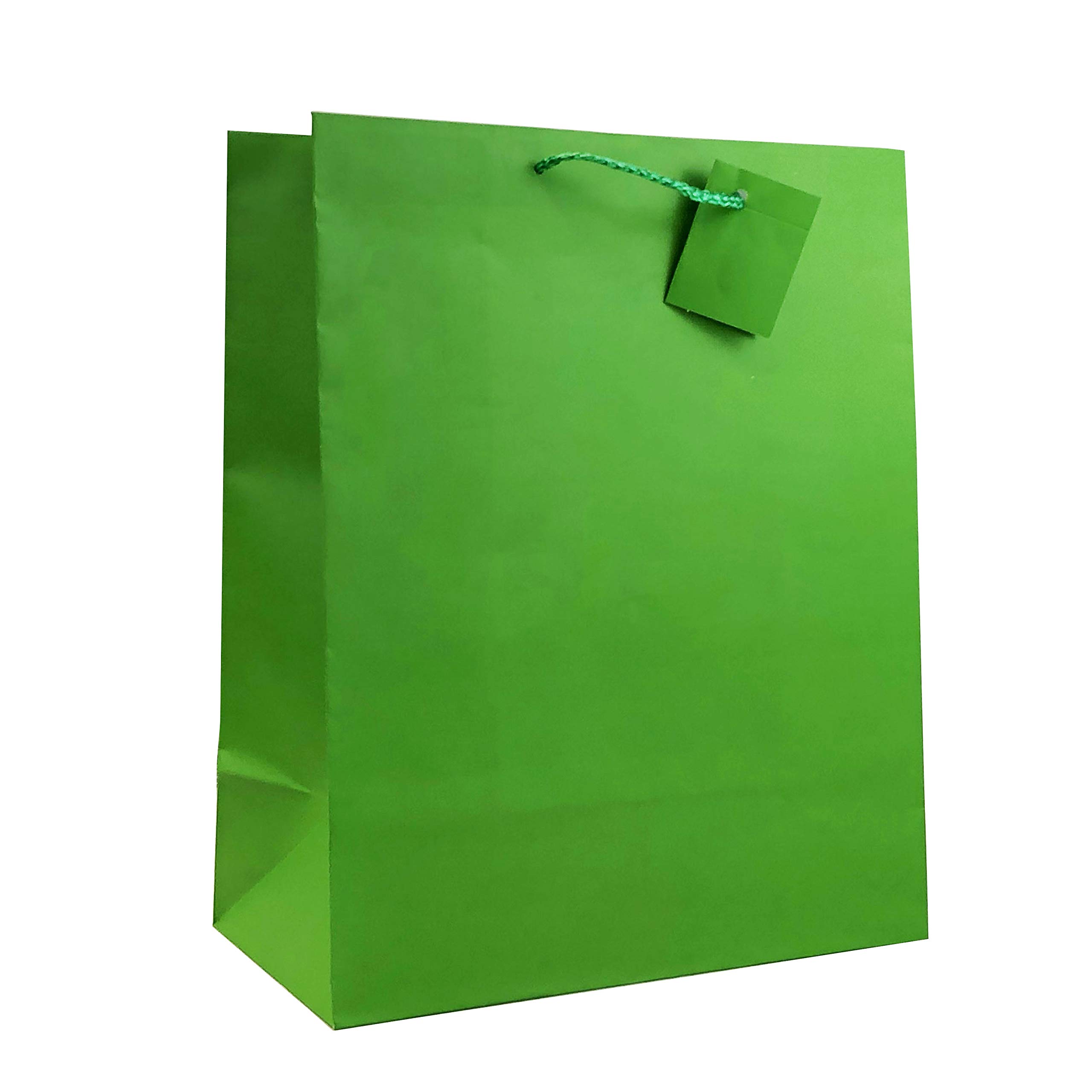 allgala Gift Bags, 12 Pack 13x10x5.5 Inch Large Green Gift Bags with Handles for Birthday, Wedding, Party Supplies, Baby Shower, Holidays, Chirstmas