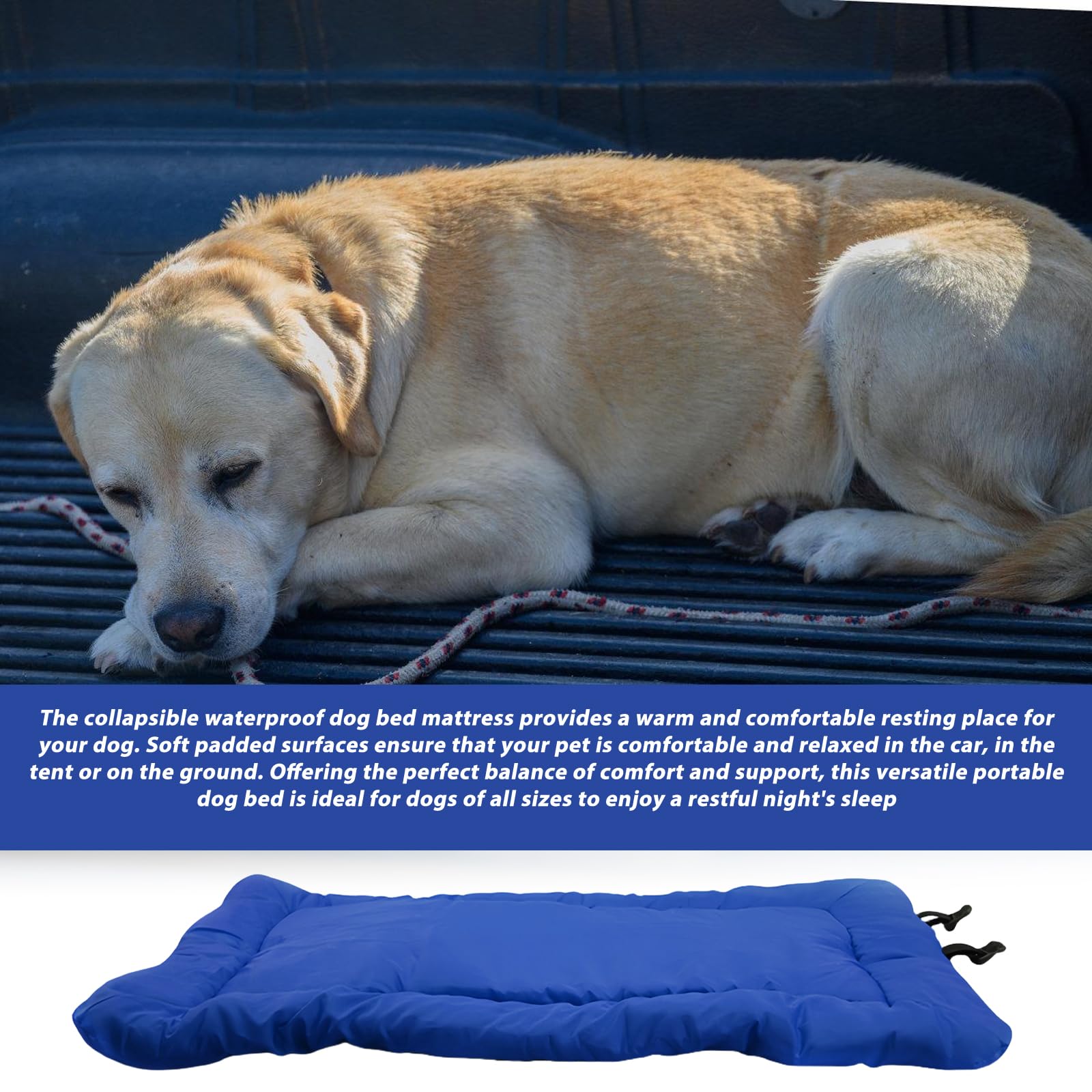 Matelas Portable pour Chien: 90 x 60 cm Lit pour Chien Imperméable et Pliable, Confort et Douceur Lit de Voyage pour Chien pour Voyages en Plein Air, Canapé, Sol, Voiture, Herbe (Bleu)