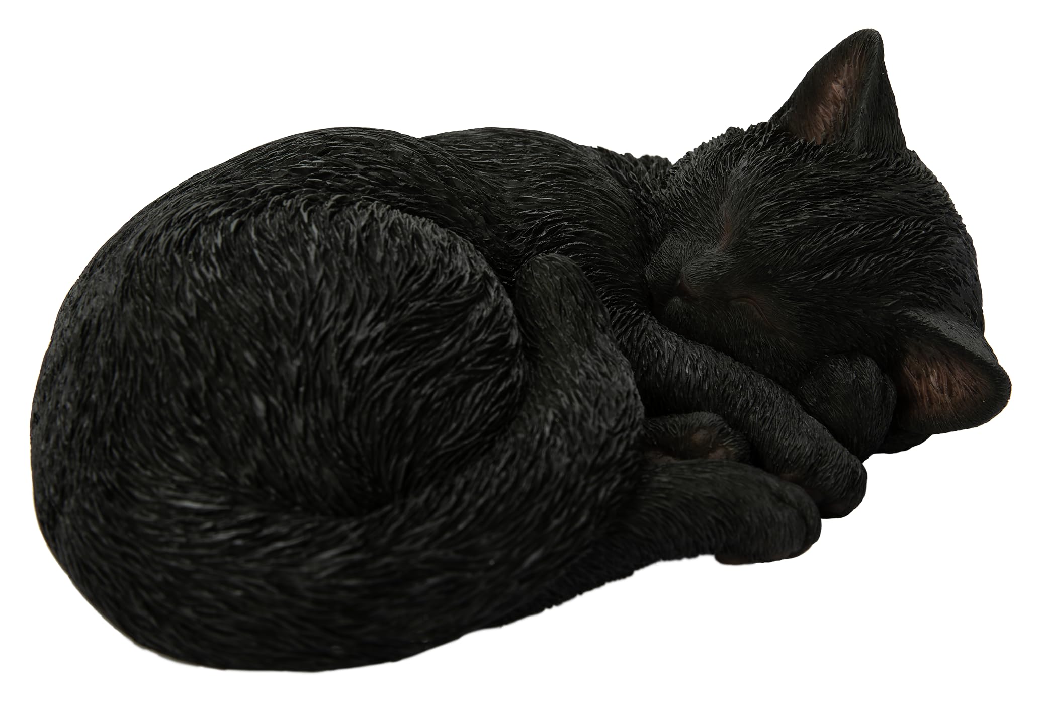 Vivid Arts Black - Sleeping Cat - Xrl-Zc37-D