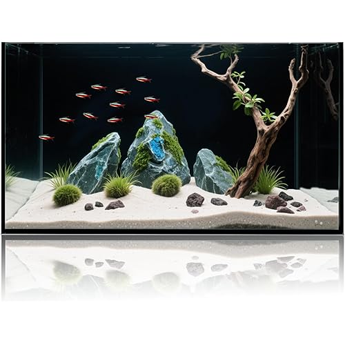 10 Gallon Glass Fish Tank, Aquarium Fish Bowl Cube for Betta Goldfish Snails Shrimp Aquatic Planting, Easy to Maintain Ultra Clear Rimless Dark Background Low Iron