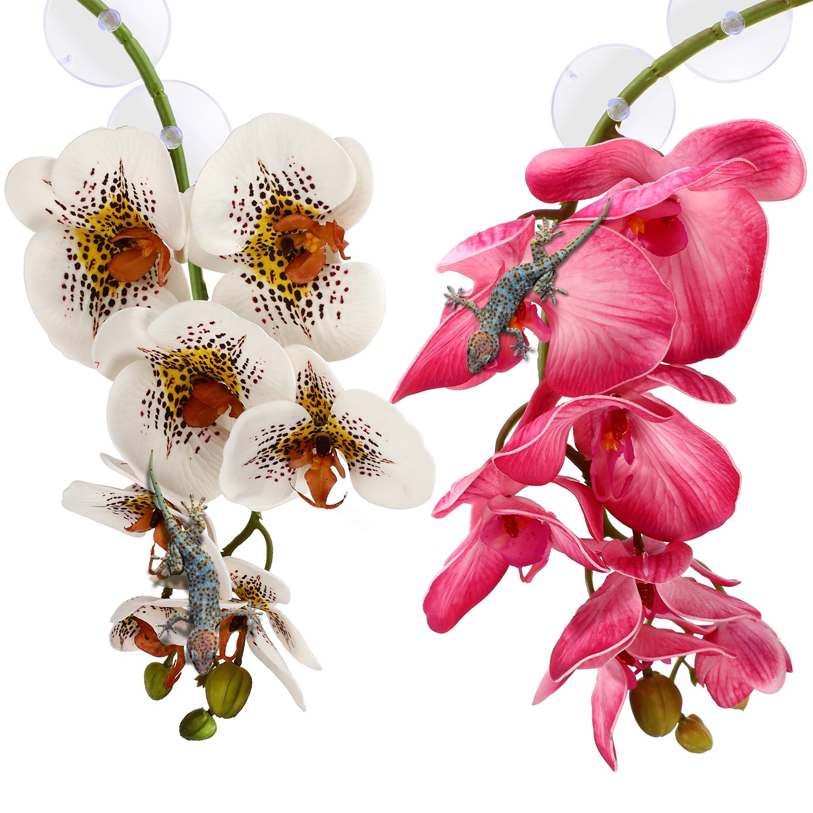 Chuangdi 2 Pcs Artificial Phalaenopsis - habitat decor | Mubboo