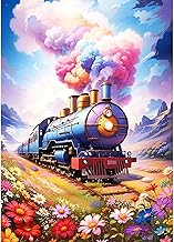 DPHERO DIY Steam Train Diamond Painting Kits Pictures for Adults Beginners, 5D Rainbow Diamond Painting Set, DIY Round Stones Wildflowers Diamond Art Kits, Diamond Art for Home Decor 30 x 40 cm
