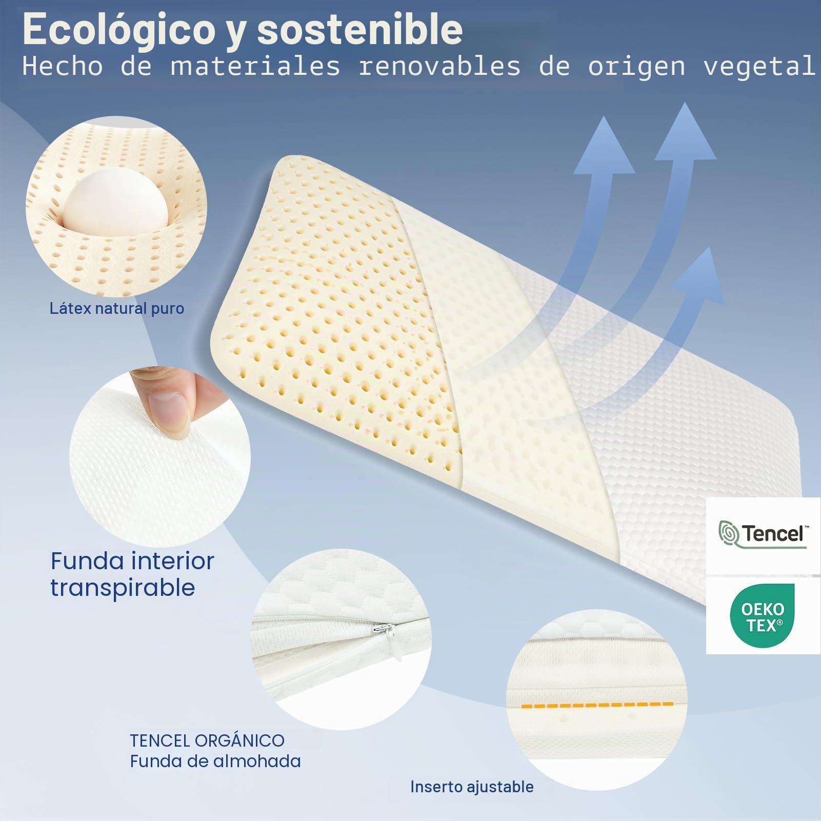 Talatex - Almohada delgada de látex natural para dormir de frente y boca abajo | Almohada plana de perfil delgado de 7 cm para alivio del dolor de cuello, soporte medio con funda
