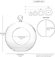 Vista 2 de WGV - Globo de terrario colgante, ancho 5 pulgadas, altura 6 pulgadas, maceta de aire para suculentas, florero de vidrio transparente con parte