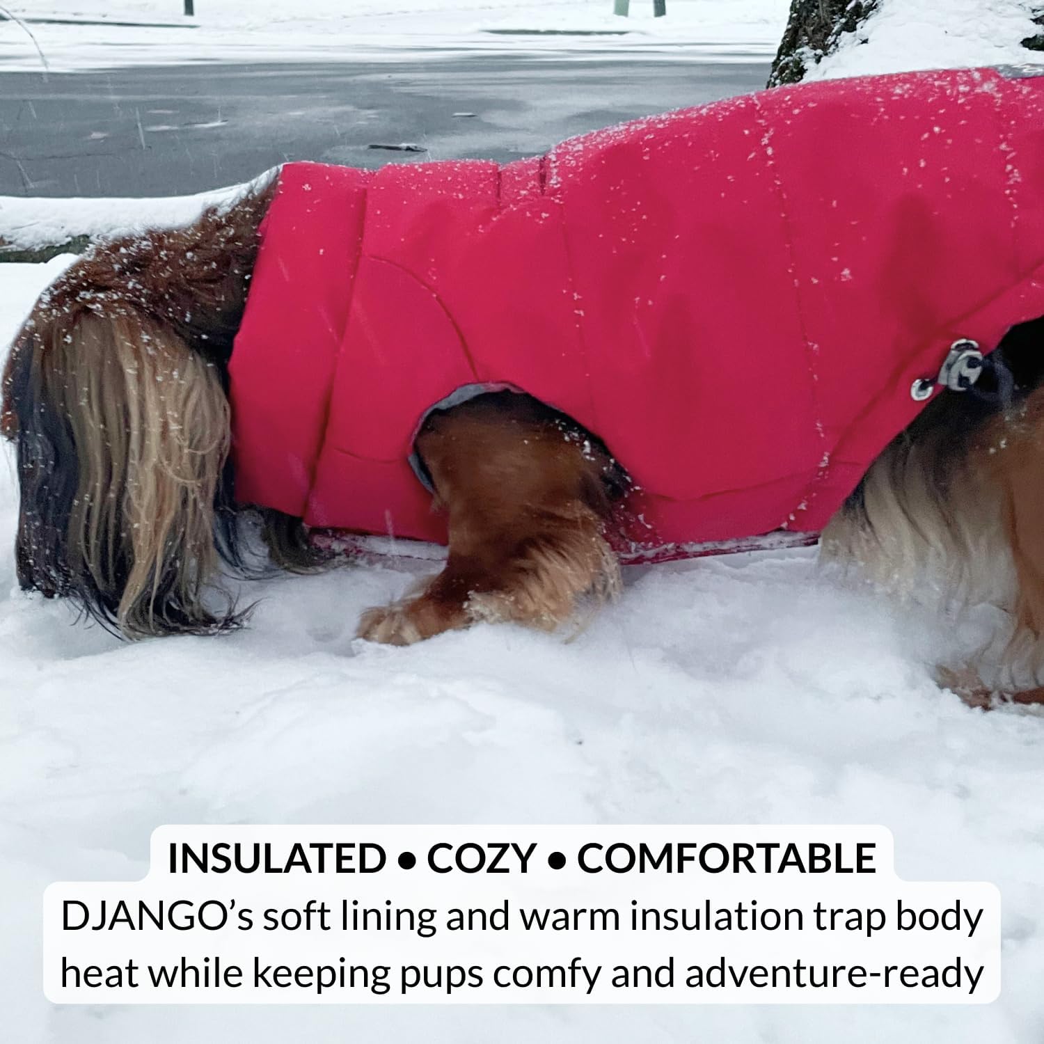 DJANGO Reversible Puffer Dog Coat – Warm Winter Dog Jacket & Water-Repellent Insulated Dog Coat with Harness Hole, Windproof, Adjustable Fit for Small & Medium Dogs, Dachshunds – Lava Red, Medium - Image 8