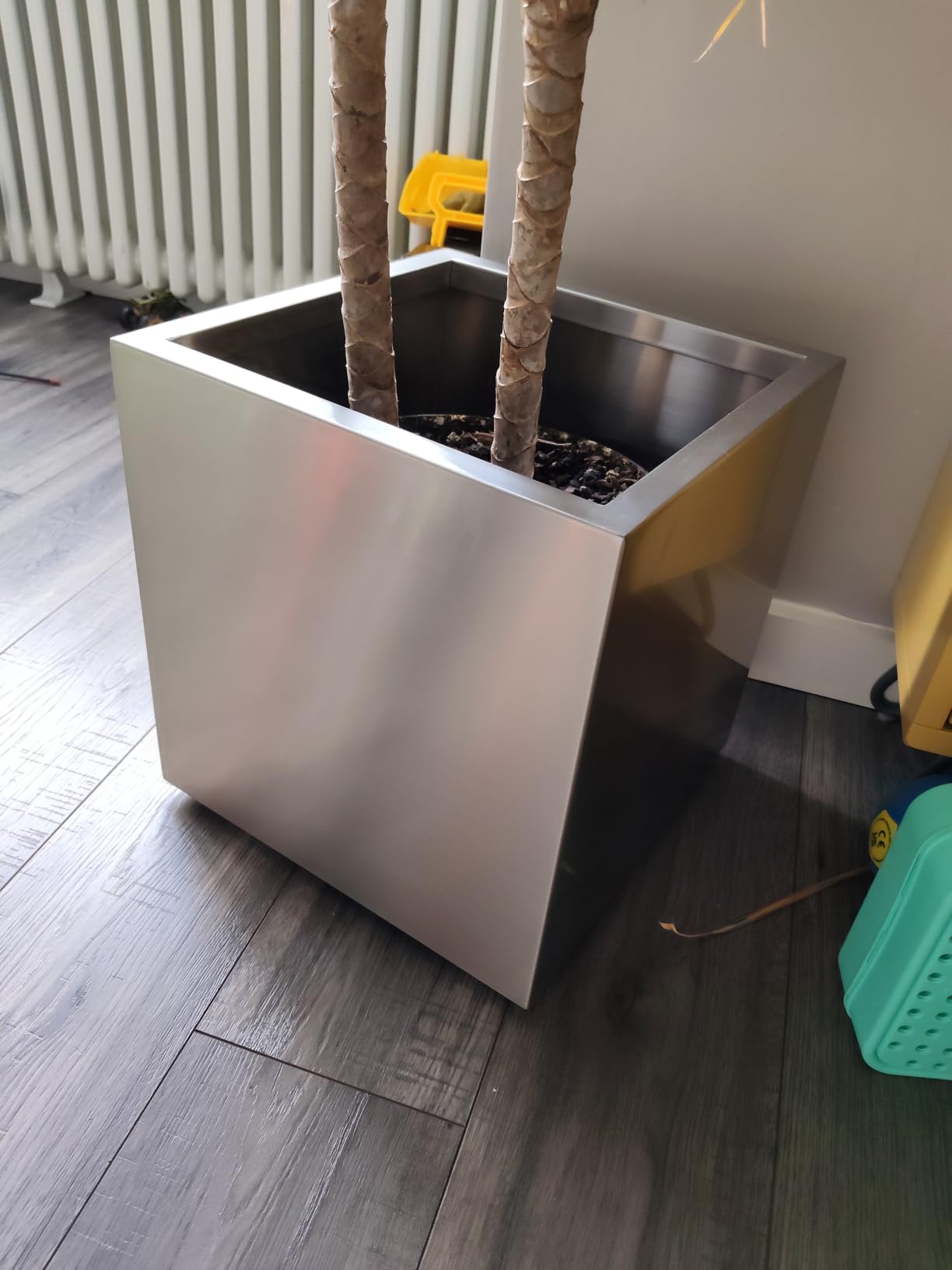 Customer photo