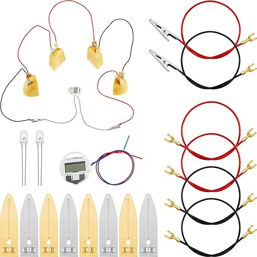 Juego de 2 juegos de experimentos científicos con batería de frutas, papa naranja, limón, batería física, experimento de enseñanza con 2 piezas de