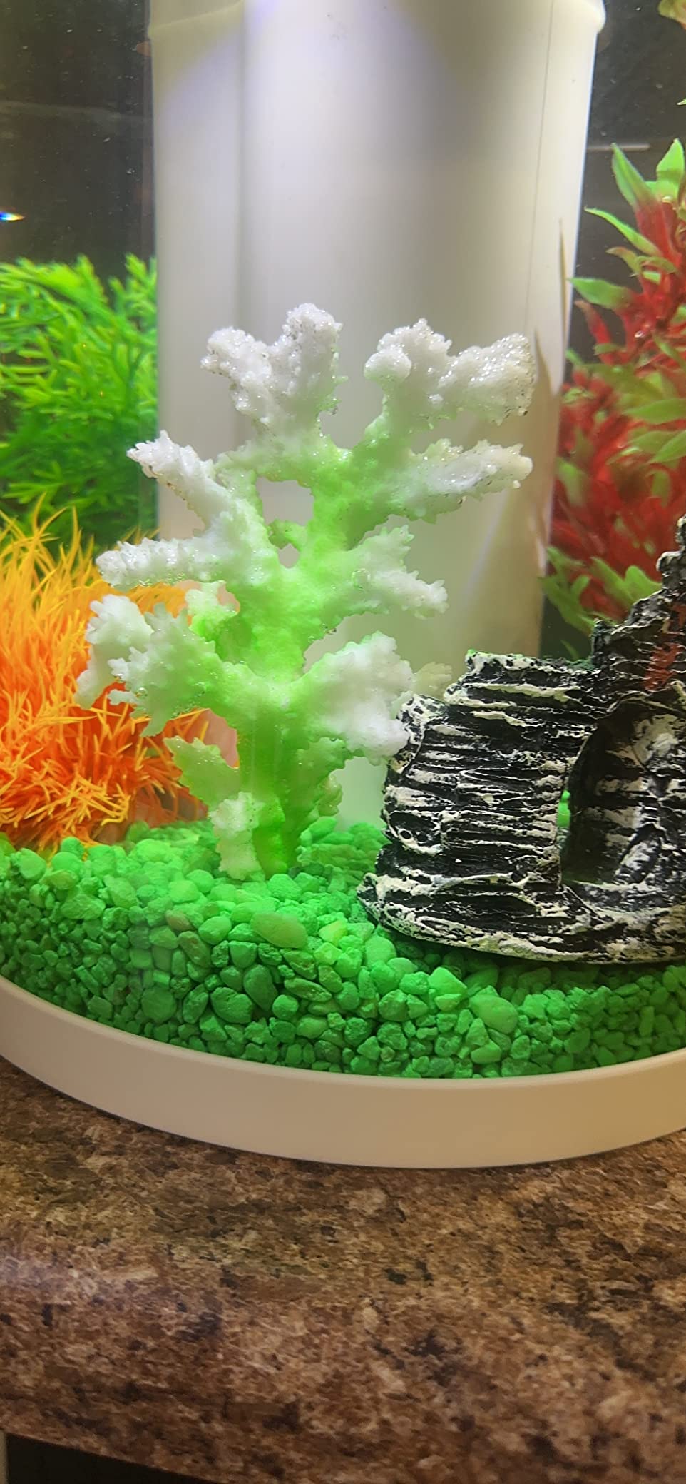 1/mo Finance imagitarium Neon Green Aquarium Gravel, 5 lbs Buy Now