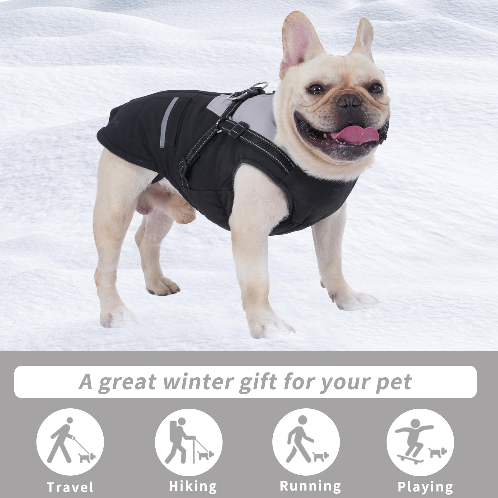 Cappottino Cane: Cappottini per Cani Piccola taglia Impermeabile Giubbotto - Cappotto Cane con Pettorina Adatto Invernale