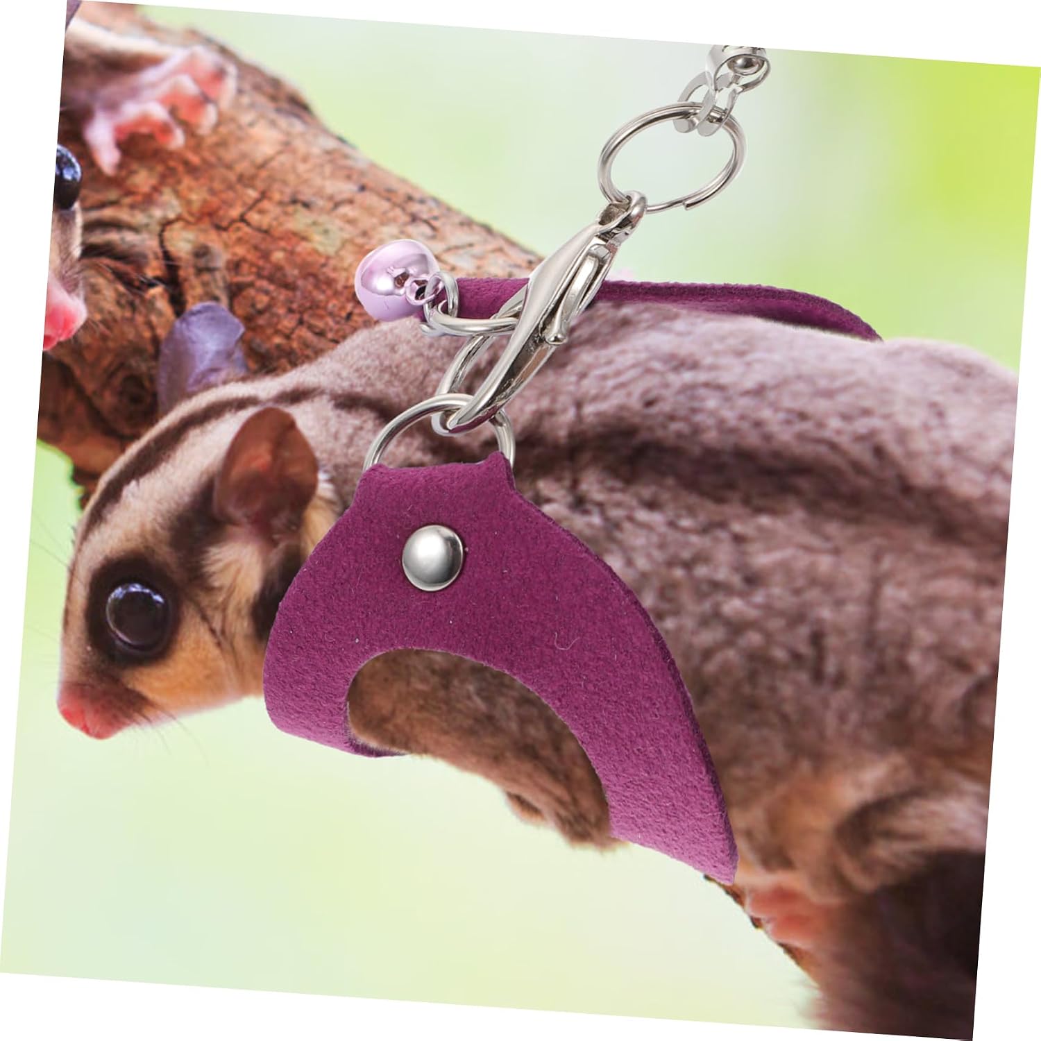 Adjustable Sugar Glider Traction Rope Lightweight Durable Leash for Small Pets Outdoor Walking with Adjustable Harness Multiple Colors