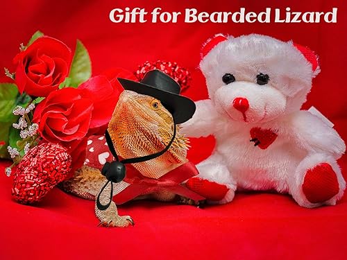 Miniatura 7 de Vehomy 4 unidades de traje de dragón barbudo para el día de San Valentín, sombrero de vaquero de dragón barbudo y bandana de lagarto, bufanda de