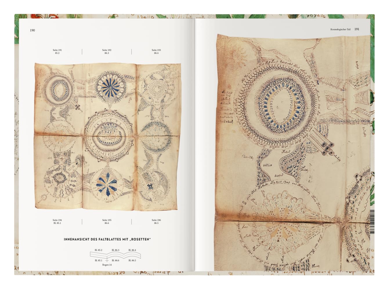 Das Voynich Manuskript: Gesamtdarstellung aller Tafeln der geheimnisvollen illuminierten Handschrift
