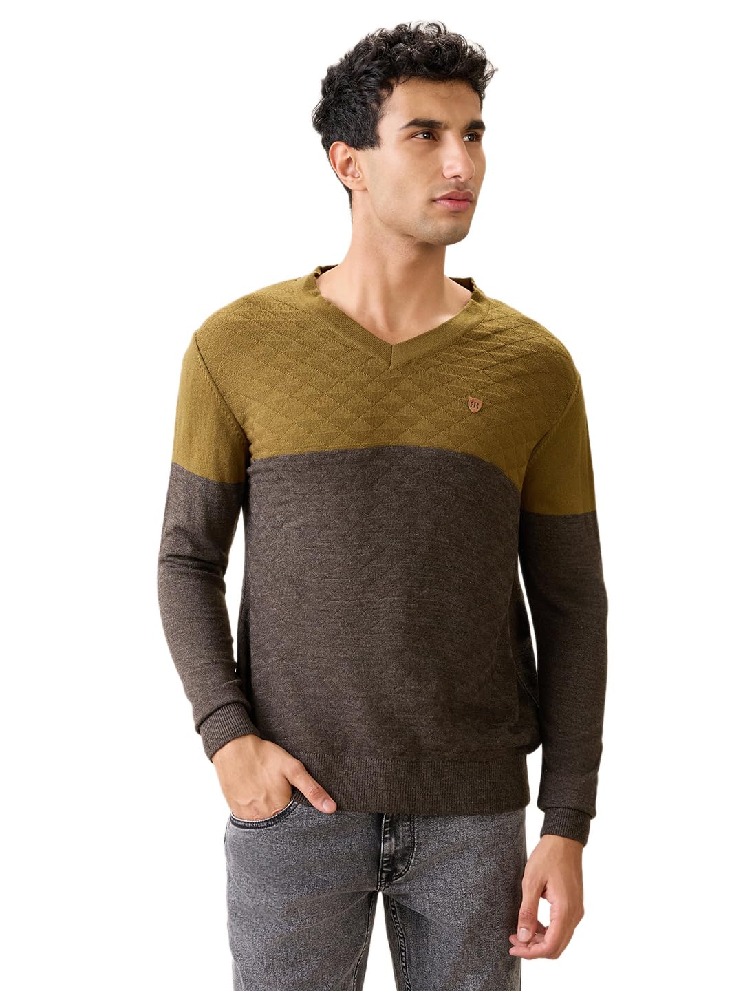 raymond Men Full Sleeve Regular Fit Structure Pattern Pure Acrylic V Neck V Neck Casual Sweater-picture-34