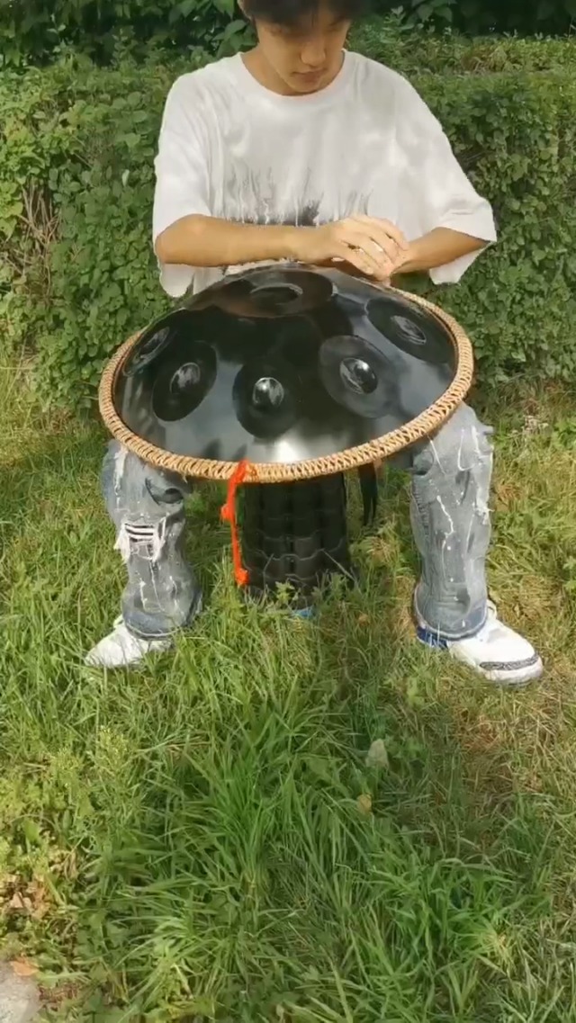 Amazon.com: Handpan 432HZ,10 Sounds 22 Inches D Minor Handpan Drum