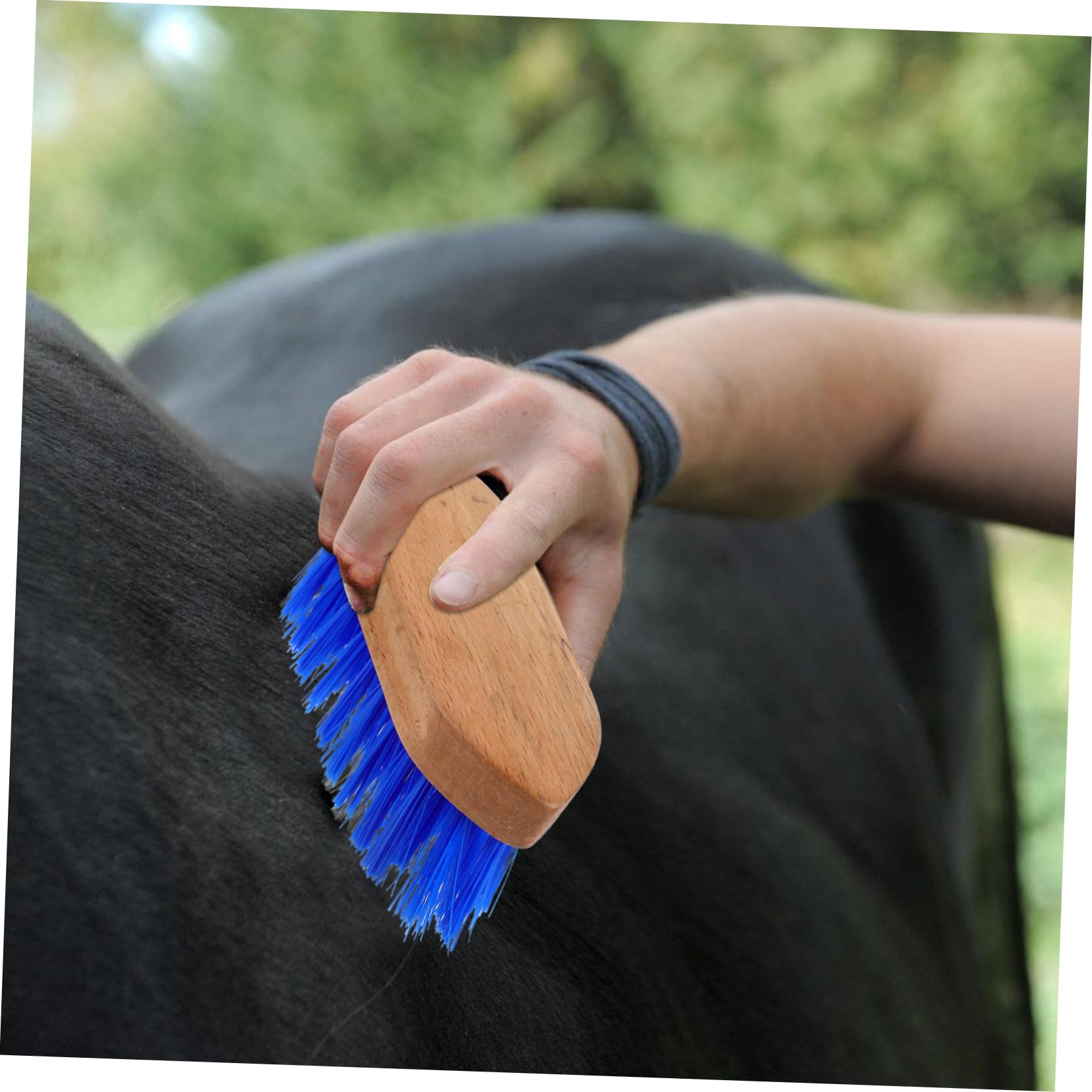 GALPADA 5 Cepillos Para Caballos Cepillo De Limpieza Para Ganado Y Caballos Peine Para Pelo De Caballo Herramienta Para La Muda De Pelo Cepillo De Crin Suministros Para El Cuidado De