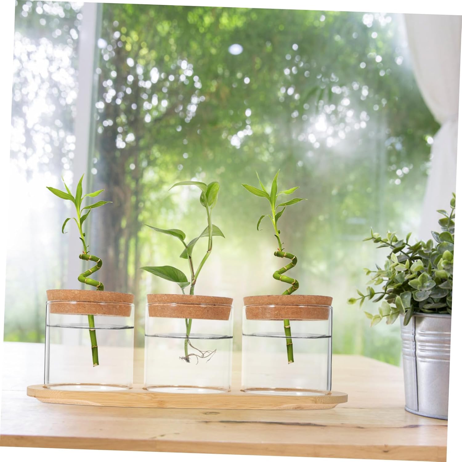 GALPADA Green Plant Glass Bottle Plant Holder Hydroponics Supplies Terrarium Jars for Office Home Decor