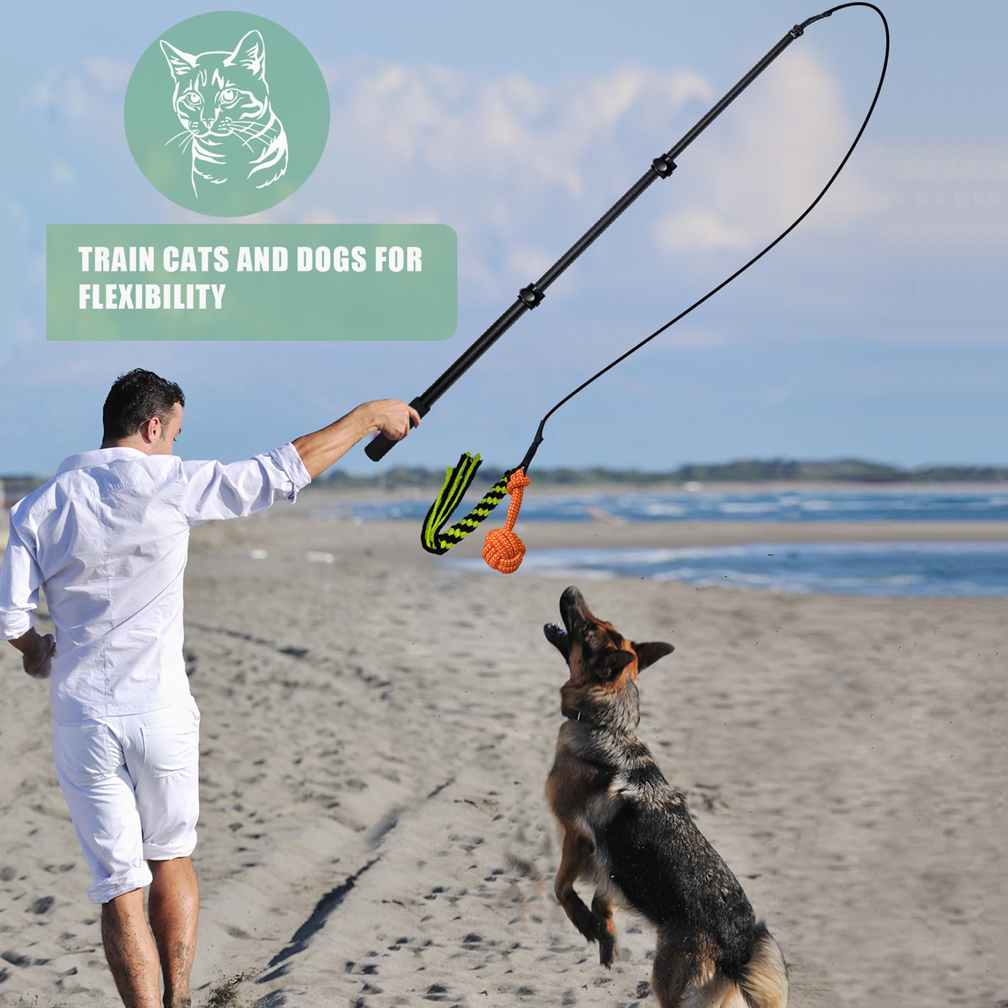 Flirtstange für Hunde, zusammenklappbar, ausziehbar, mit Quietschspielzeug, Jagdseil, Ballspielzeug, Agility-Trainingsgerät für kleine, mittelgroße und große Hunde, Trainingsgeräte für Hunde