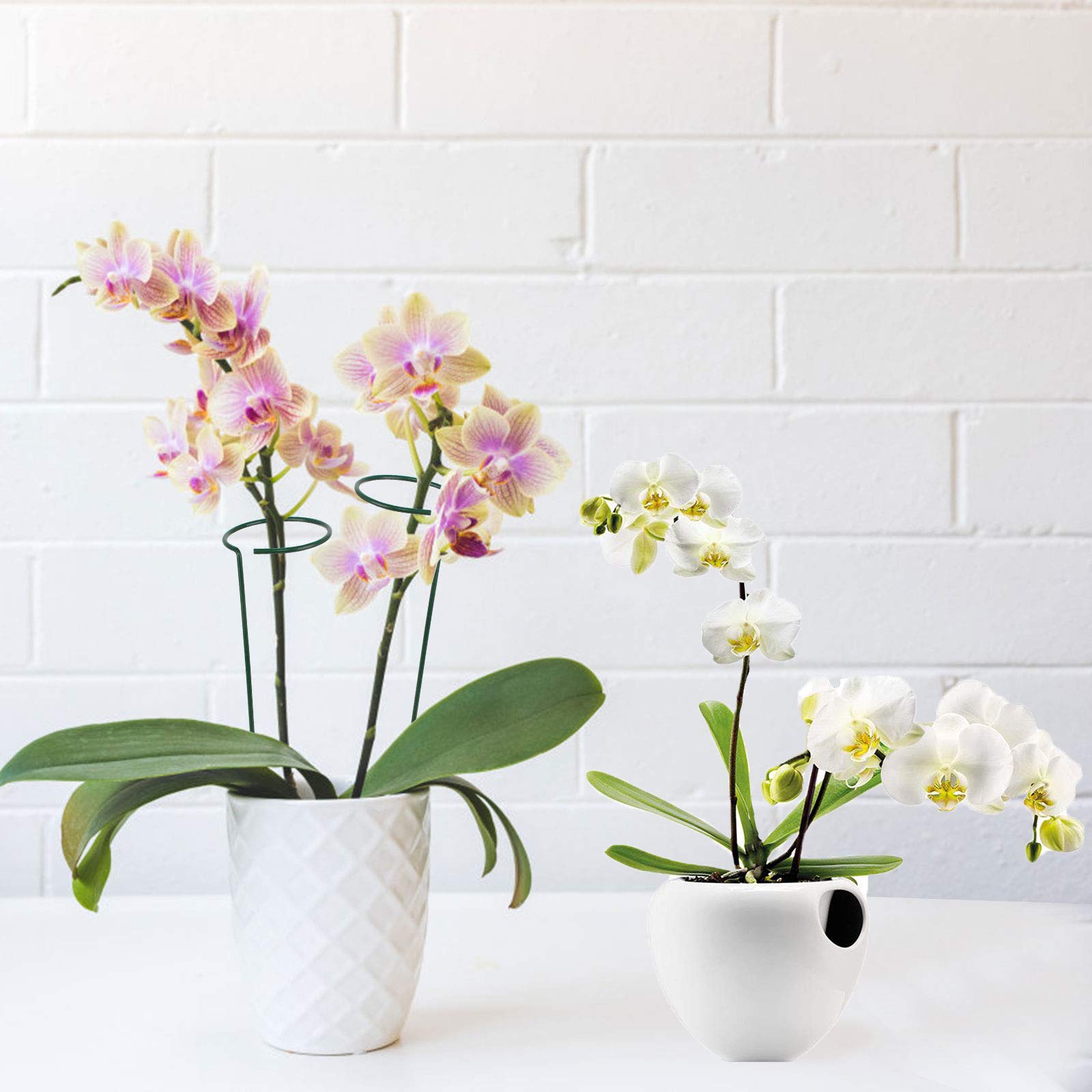 8 Tuteurs Pour Plantes Vertes 40cm - Support Annelé Pour Hortensias, Pivoines, Tomates, Sans Assemblages