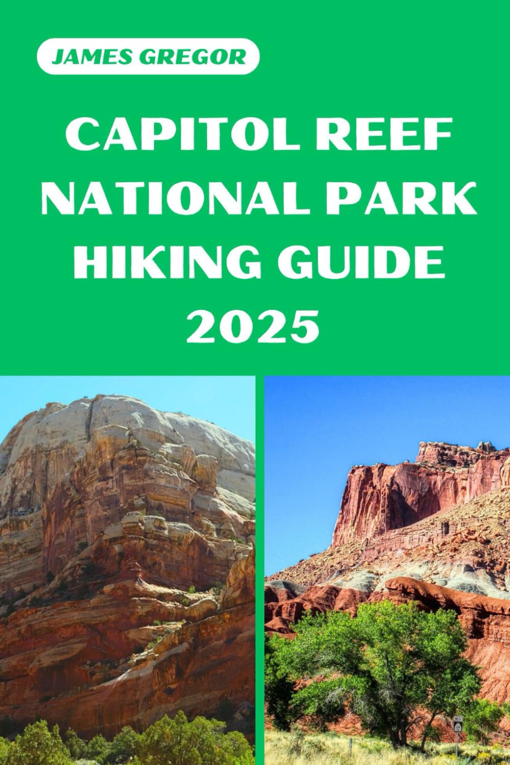 CAPITOL REEF NATIONAL PARK HIKING GUIDE 2025: Discover the Best Trails and Scenic Routes (HIKER’S PARADISE GUIDE)