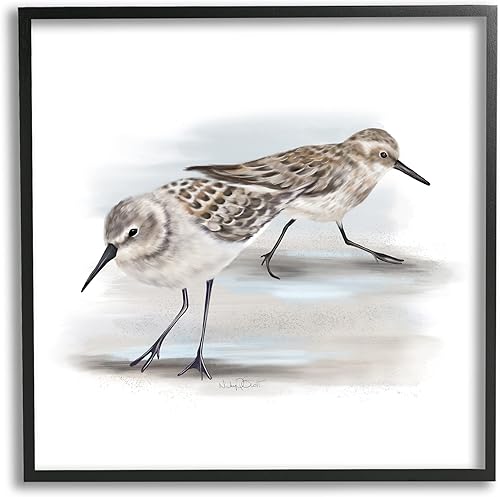 Stupell Industries Sandpiper - Par de pájaros náuticos pequeños en la playa de arena, diseñado por Studio Q, arte de pared enmarcado negro, 17 x 17