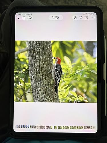 Review Image by Robert W. Gill