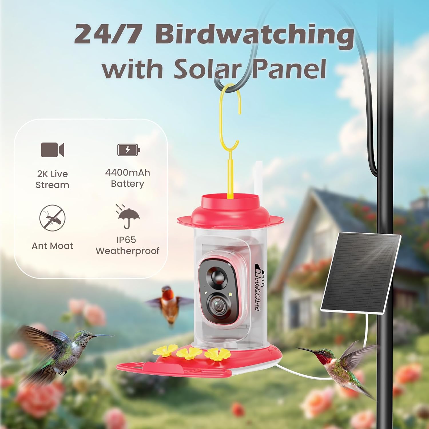 Smart Hummingbird Feeder with Camera Solar Powered, AI Identify, Instant Notification, Leakproof & Ant Moat Bird Feeder with Camera, Hummingbird Feeders for Outdoors, Gift for Bird Lovers (20 oz) - Image 2