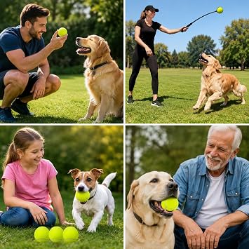 Tennis Balls Practice Training Balls Balls For Dogs Perfect For Beginners & Kids High Bounce Rubber Core Ideal For Outdoor Play Durable Dog Cat Playing Balls Pet Toys & Recreational Tennis(Pack Of 3)