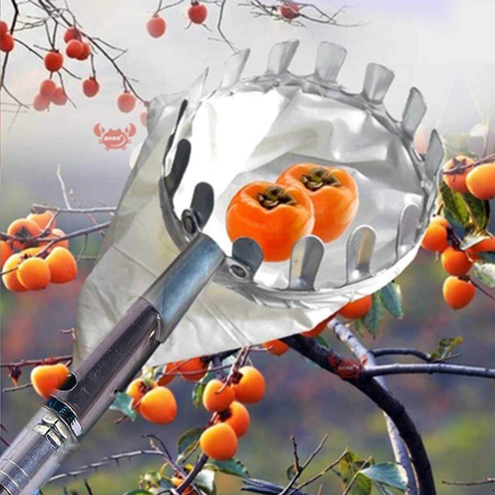 LekLai Raccoglifrutta Comfort Raccoglimele in Acciaio Pratico con Asta Telescopica Comodo Manico Antiscivolo Compreso Di Asta e Borsa