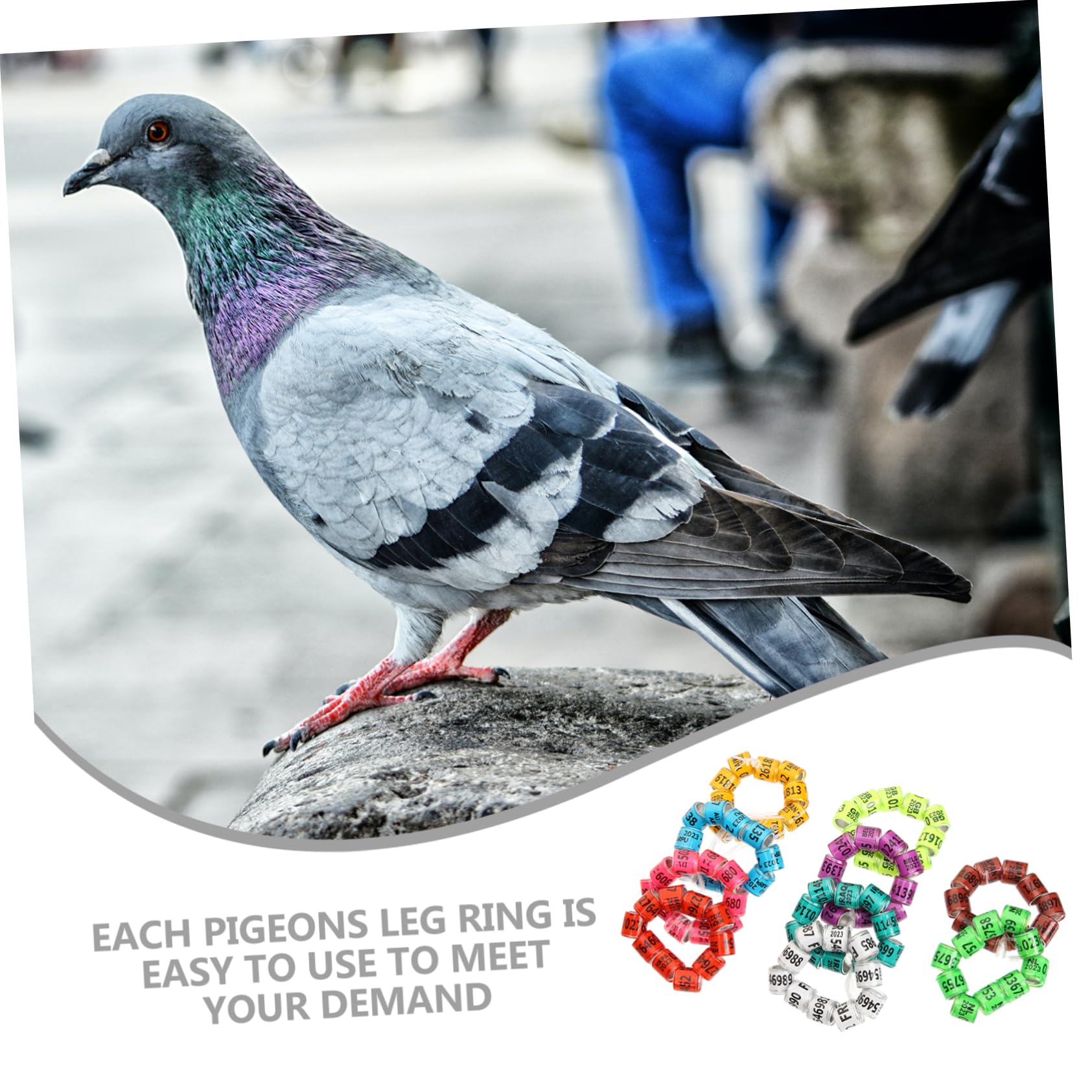 BESPORTBLE 400piezas Anillos De Identificación para Pájaro Anillas De para Palomas De Suministros para Distinción De Aves