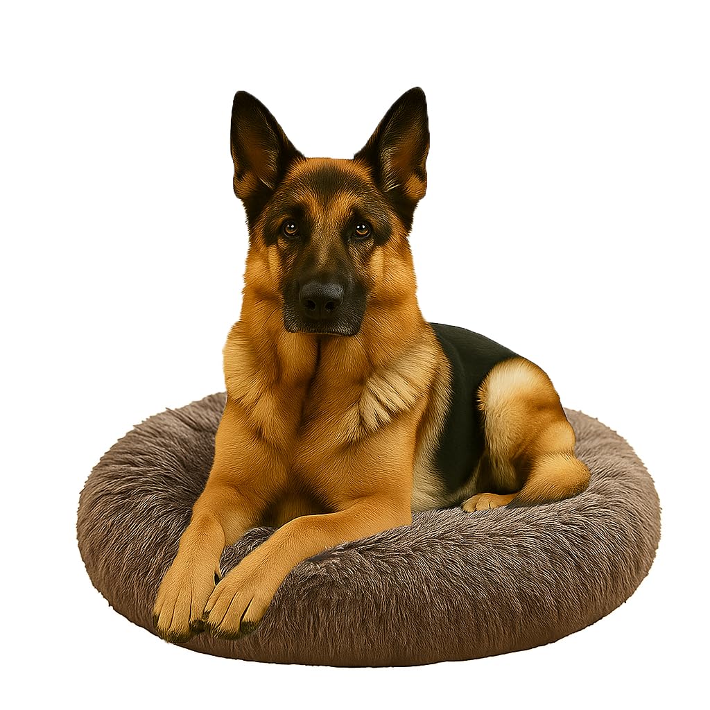Dorian Home - Cuccia Cane Interno e Cuccia Gatto Tonda, Cuscino Cane Gatto Antiscivolo - Cuscino per Cani e Gatti Lavabile Taglia Grande, Media, Piccola, Lettino Cani Morbido, Letto Peloso a Ciambella