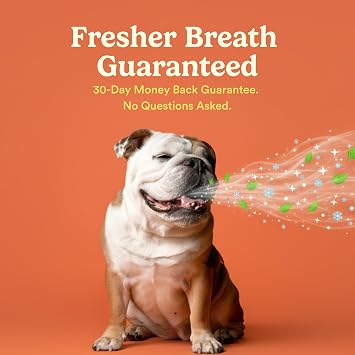 Jasper Dog Tooth Brushing Kit and Dog Toothpaste (Bacon) Kit 360