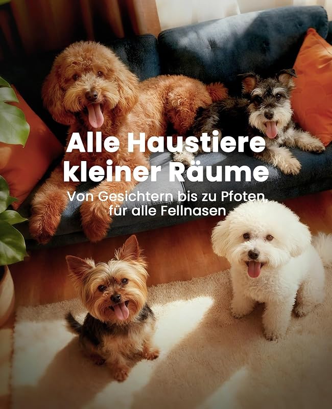oneisall Mașină de tuns silențioasă pentru câini cu lamă dublă, 2 viteze, pentru lăbuțe, ochi, urechi, față și corp, albă