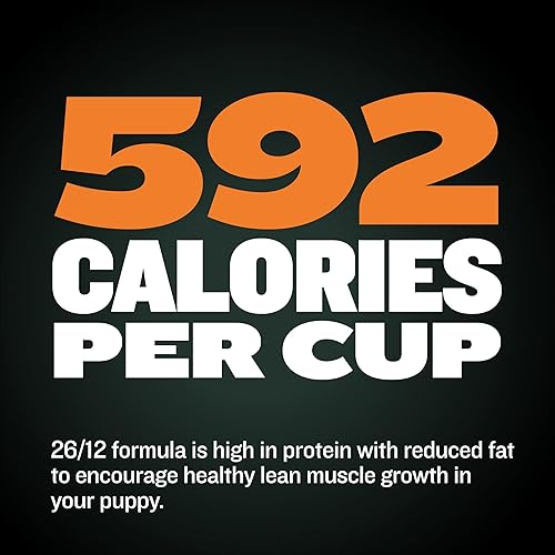 Miniatura 9 de Bully Max Wet Dog Food - Alimento para perros deshidratados con alto contenido de proteínas, para cachorros y adultos con pollo, crecimiento