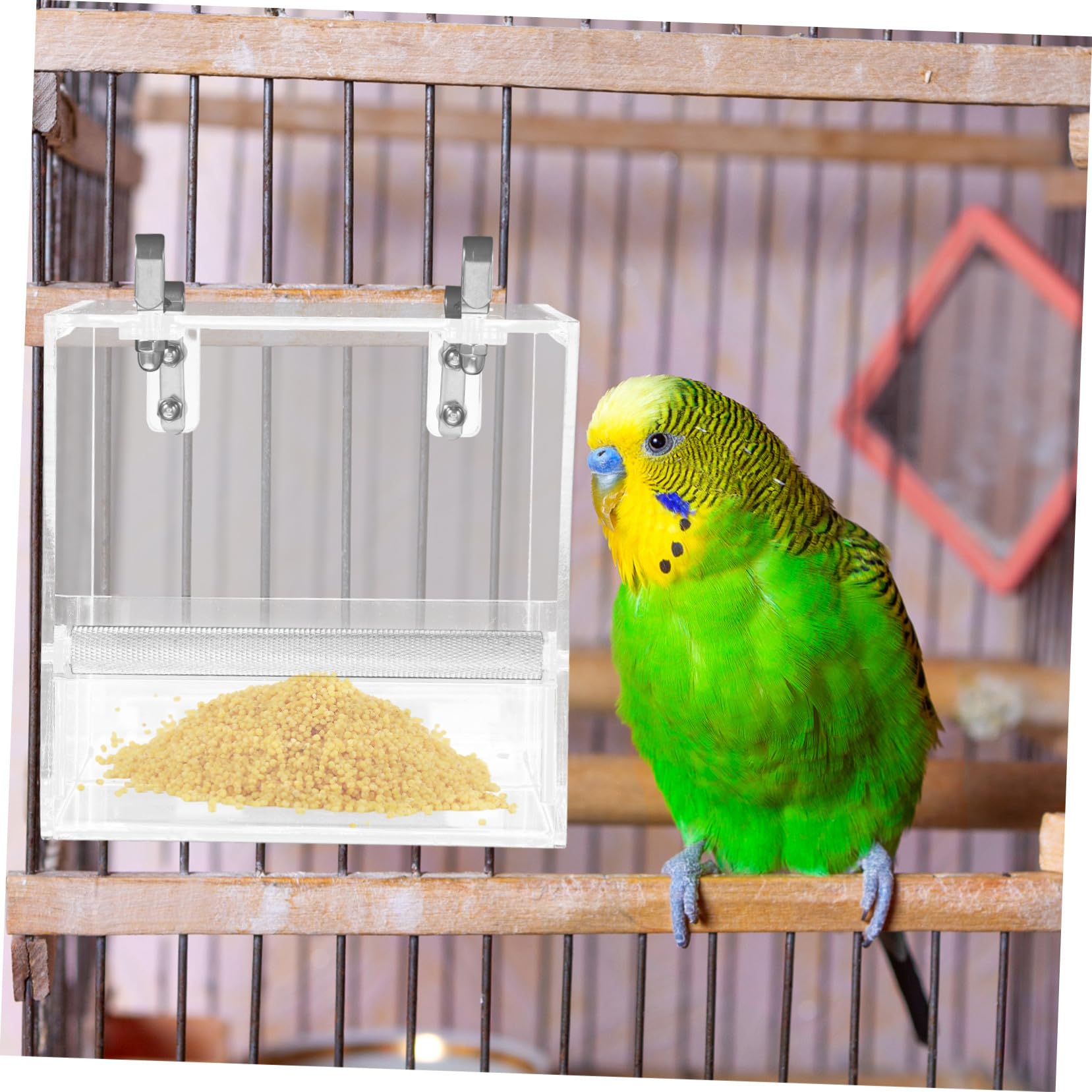 Mangeoire à Oiseaux Automatique en Plastique pour Perroquet et Petits | Bol de Cuvette, Design Suspendu, Installation Facile, Nettoyage Pratique, Usage Cage et Maison